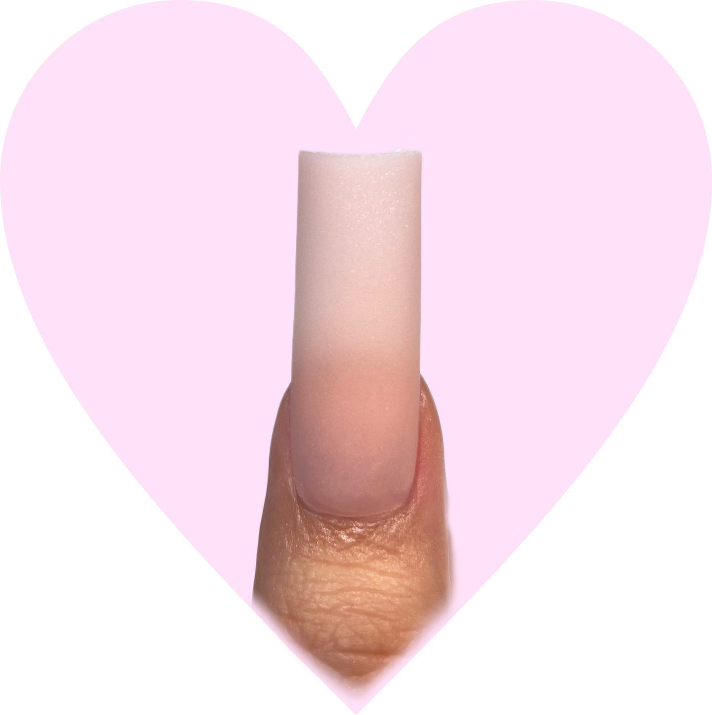 Natural Pink | Acrylic Powder (1.7 oz)